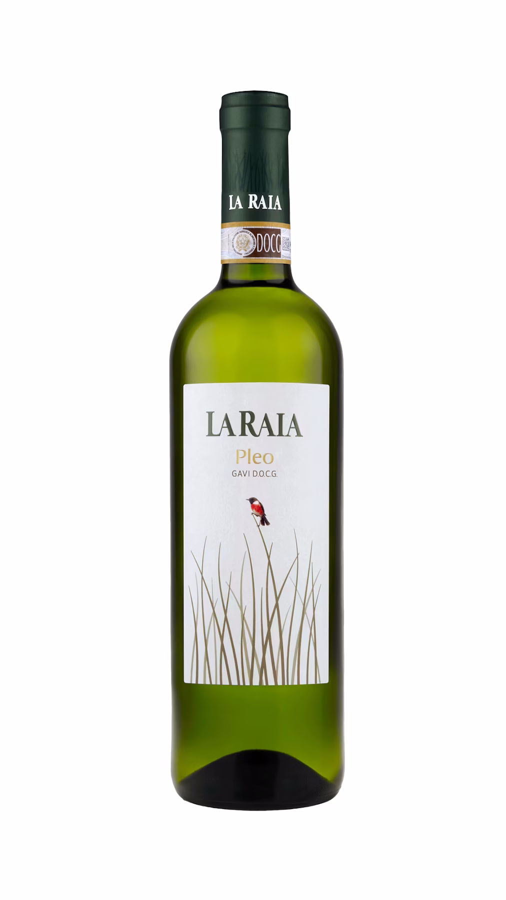 Gavi Pleo 2023