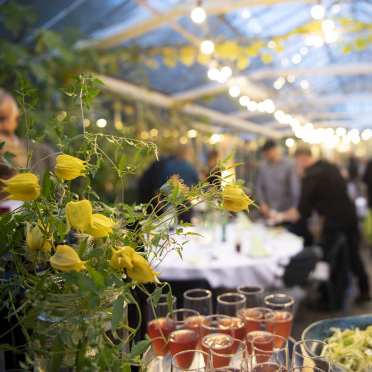 Vin & Vækst – En aften i Ørangeriet