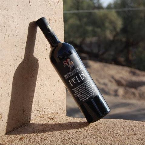 Tenuta Montiani, Felix – Chianti Classico. Naturens kraft, årgangens sjæl og vinmagerens passion