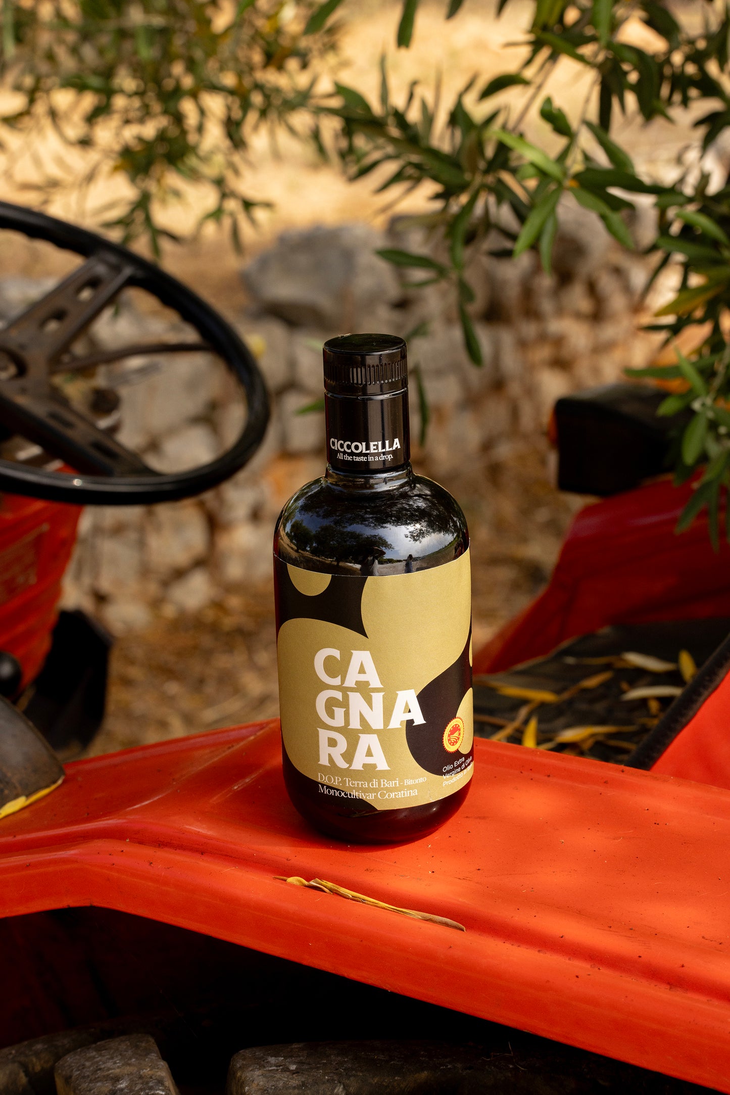 CAGNARA DOP — Ekstra Jomfru Olivenolie, Coratina, Økologisk 500 ml flaske · DOP Terra di Bari Bitonto