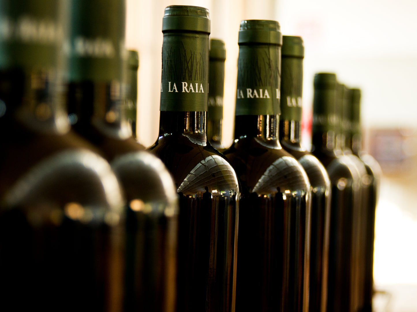 Klassisk Italiensk økologisk vin 6 flasker hver anden måned