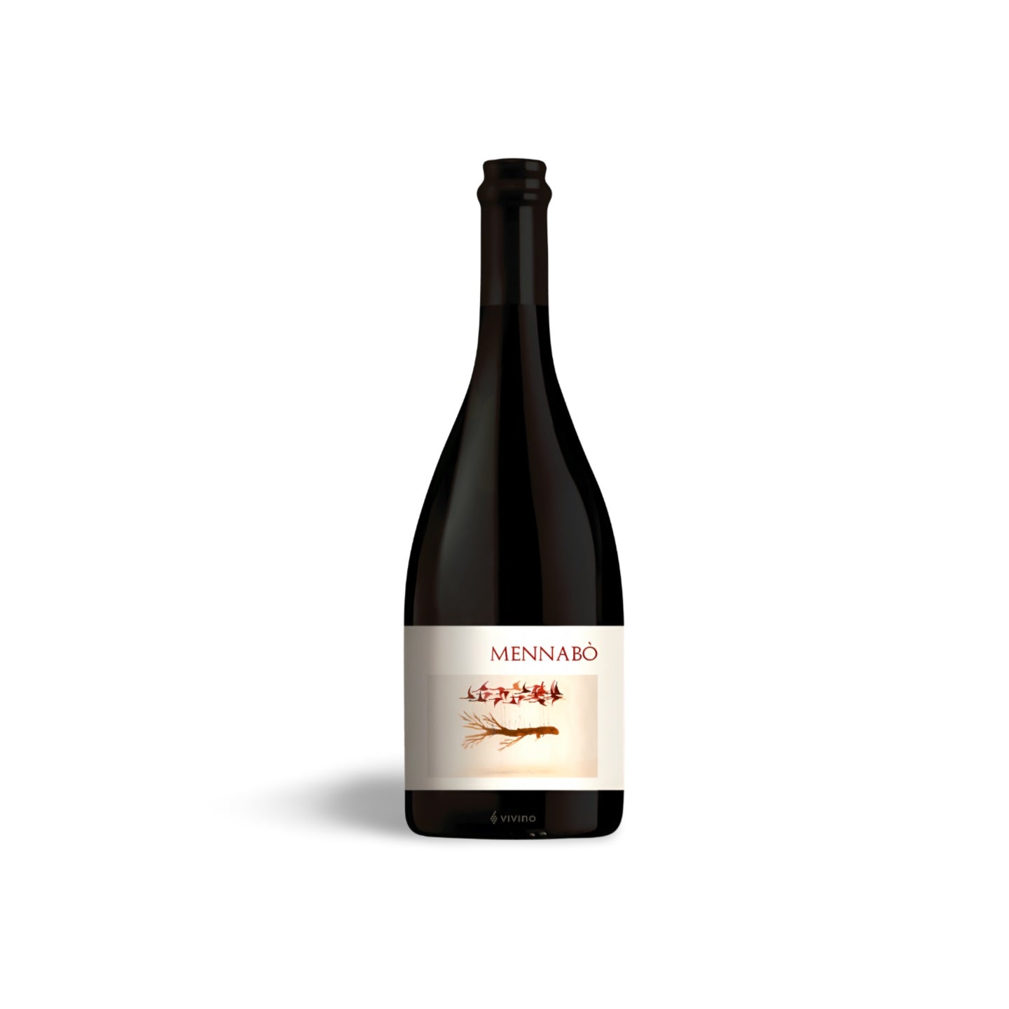 Podere Sottoilnoce Mennabò 2020 – En tør Lambrusco med karakter