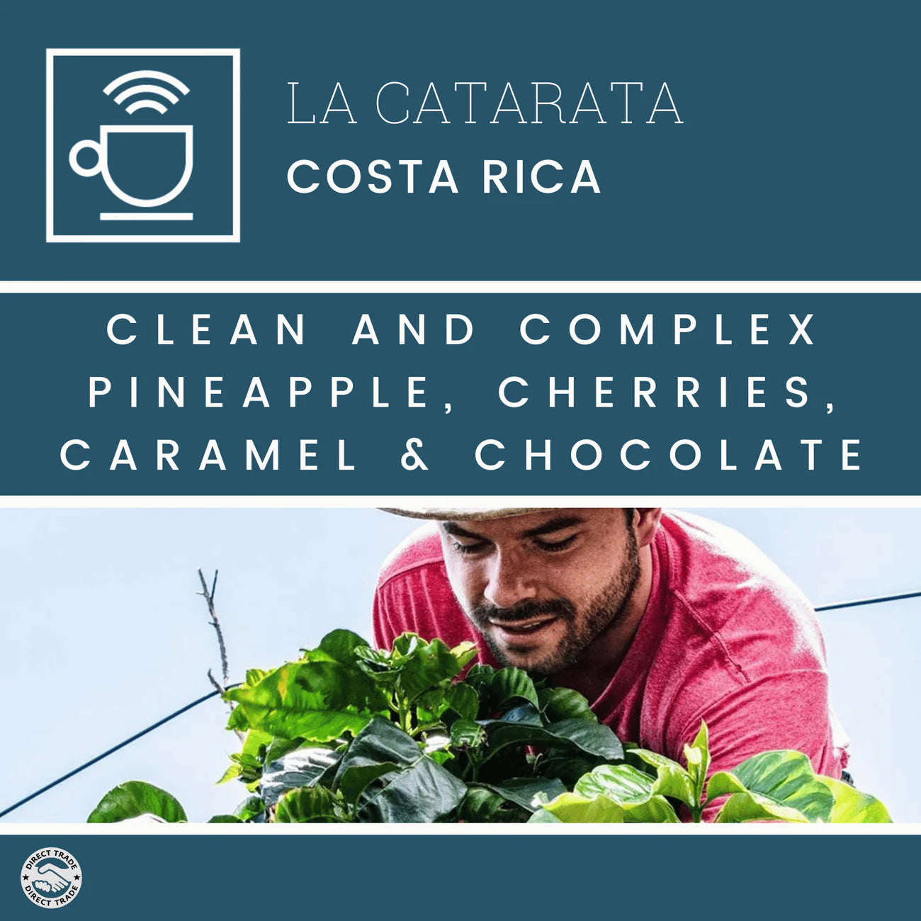 La Catarata
