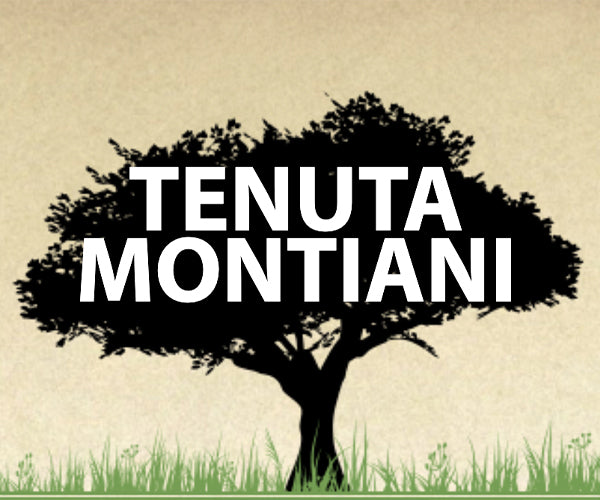 Tenuta Montiani, Terra Greta, 2020 Chianti Classico. En vin med sjæl og historie