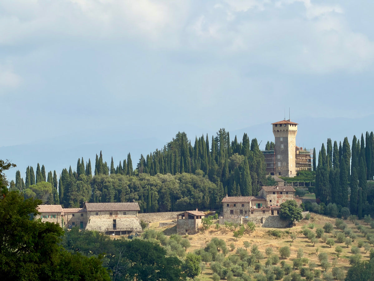 Trebbio biodynamisk ekstra jomfru olivenolie produceres på markerne i Mugello ved det gamle Villa del Medicea Trebbio