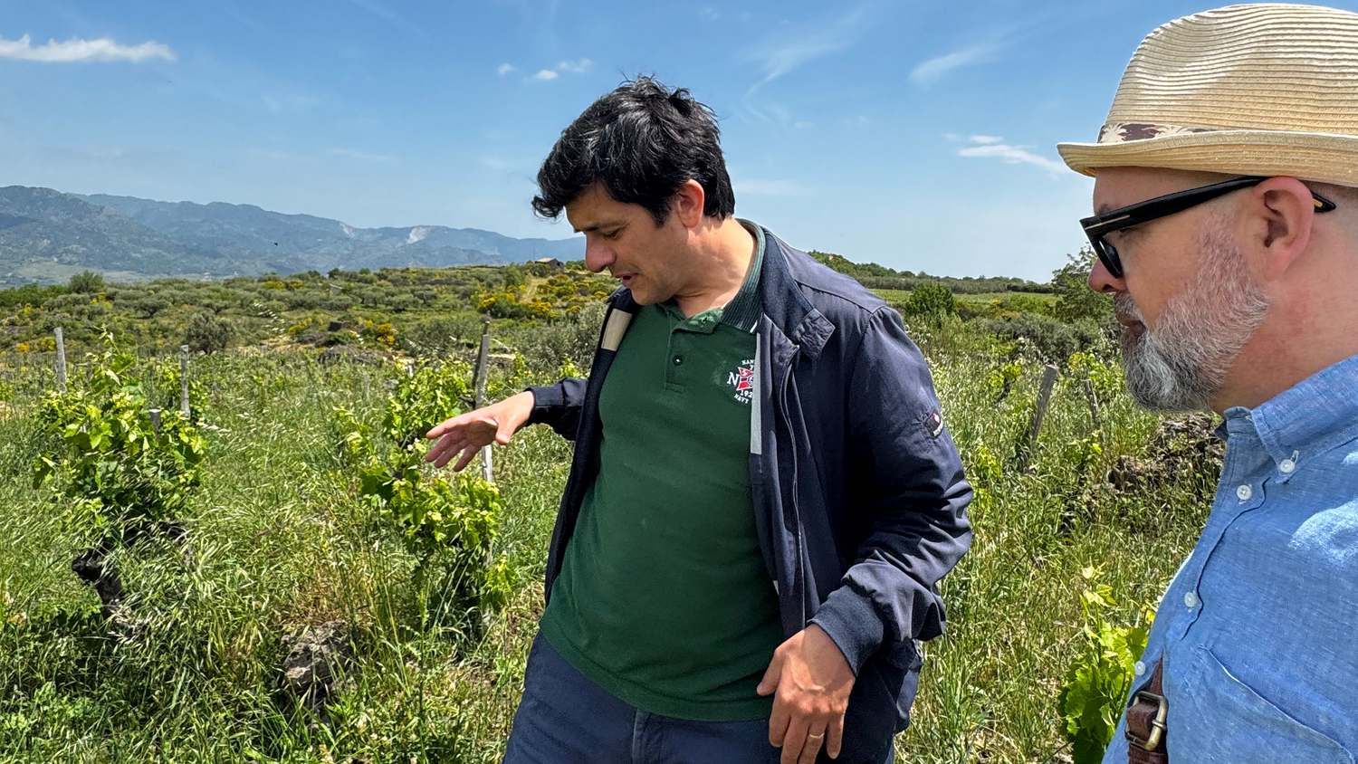 Boccarossa - vin fra Etnas nordside. Ældgamle stokke, lavajord og ingen kompromiser.
