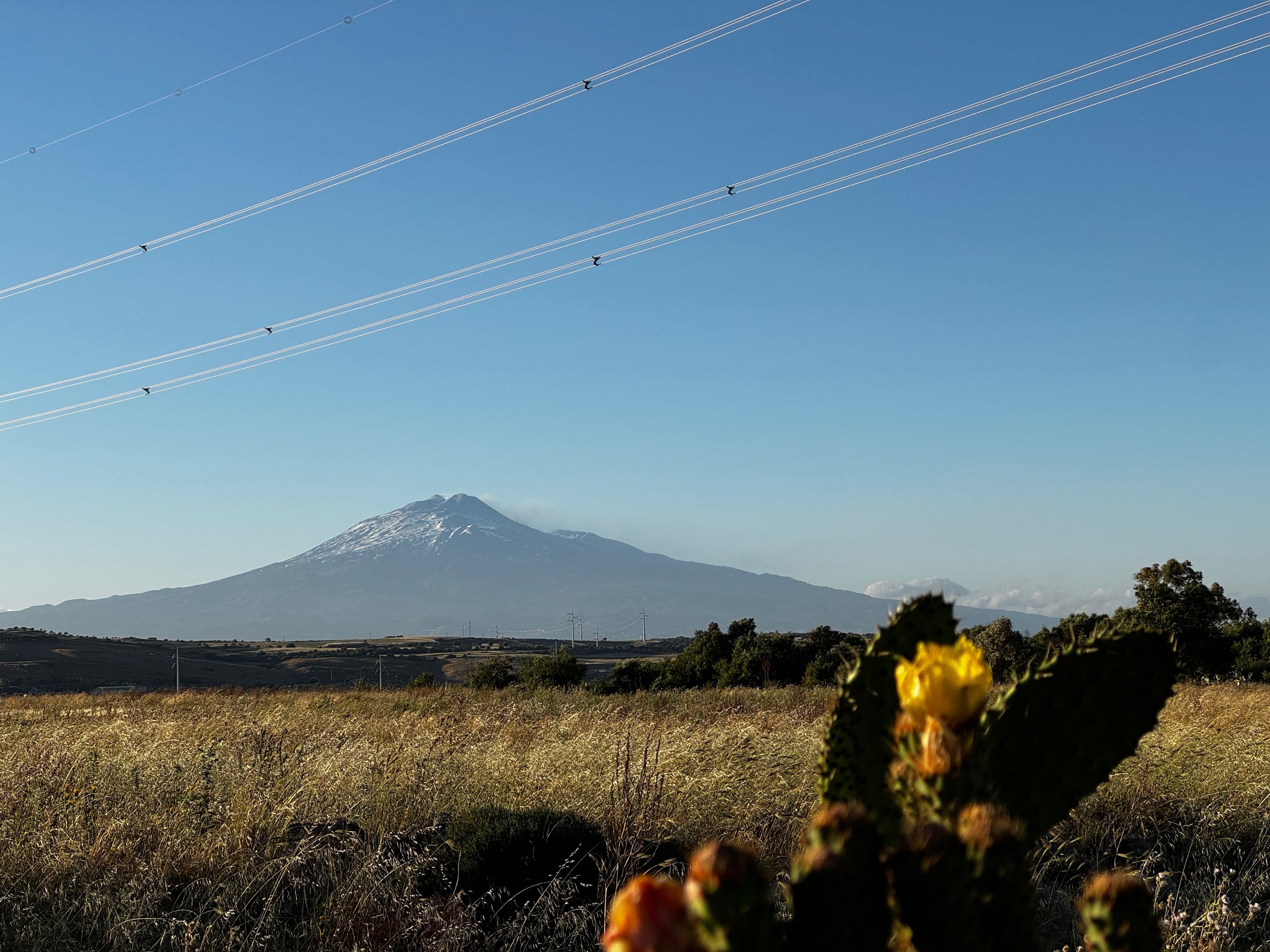 Etna — Vine fra vulkanens sjæl