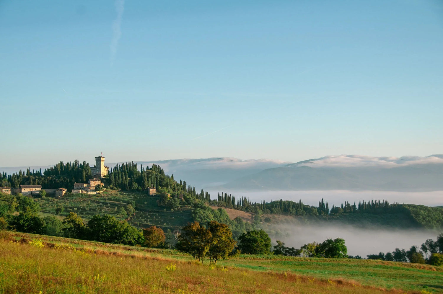 Villa il Trebbio omgivet af cypresser og olivenlunde i Mugello, Toscana — morgentåge i dalen nedenfor