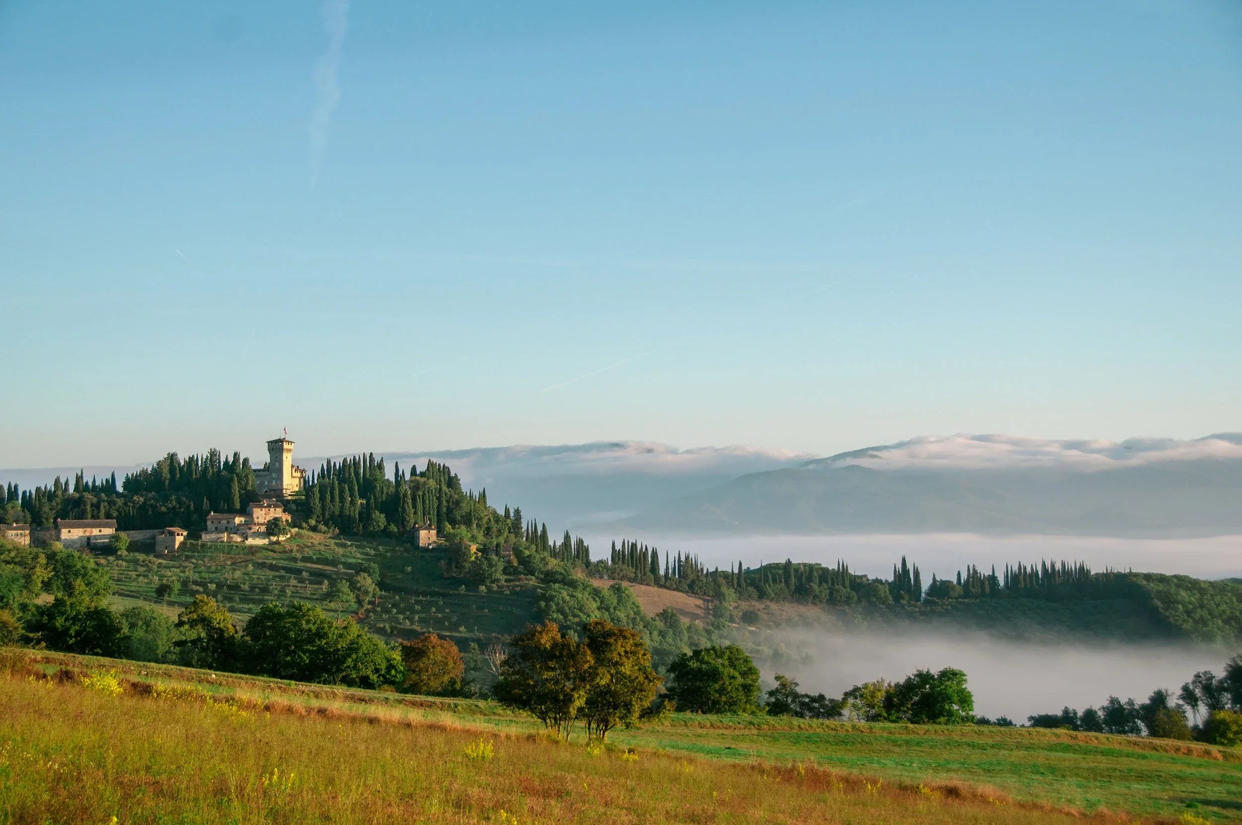 Villa il Trebbio omgivet af cypresser og olivenlunde i Mugello, Toscana — morgentåge i dalen nedenfor