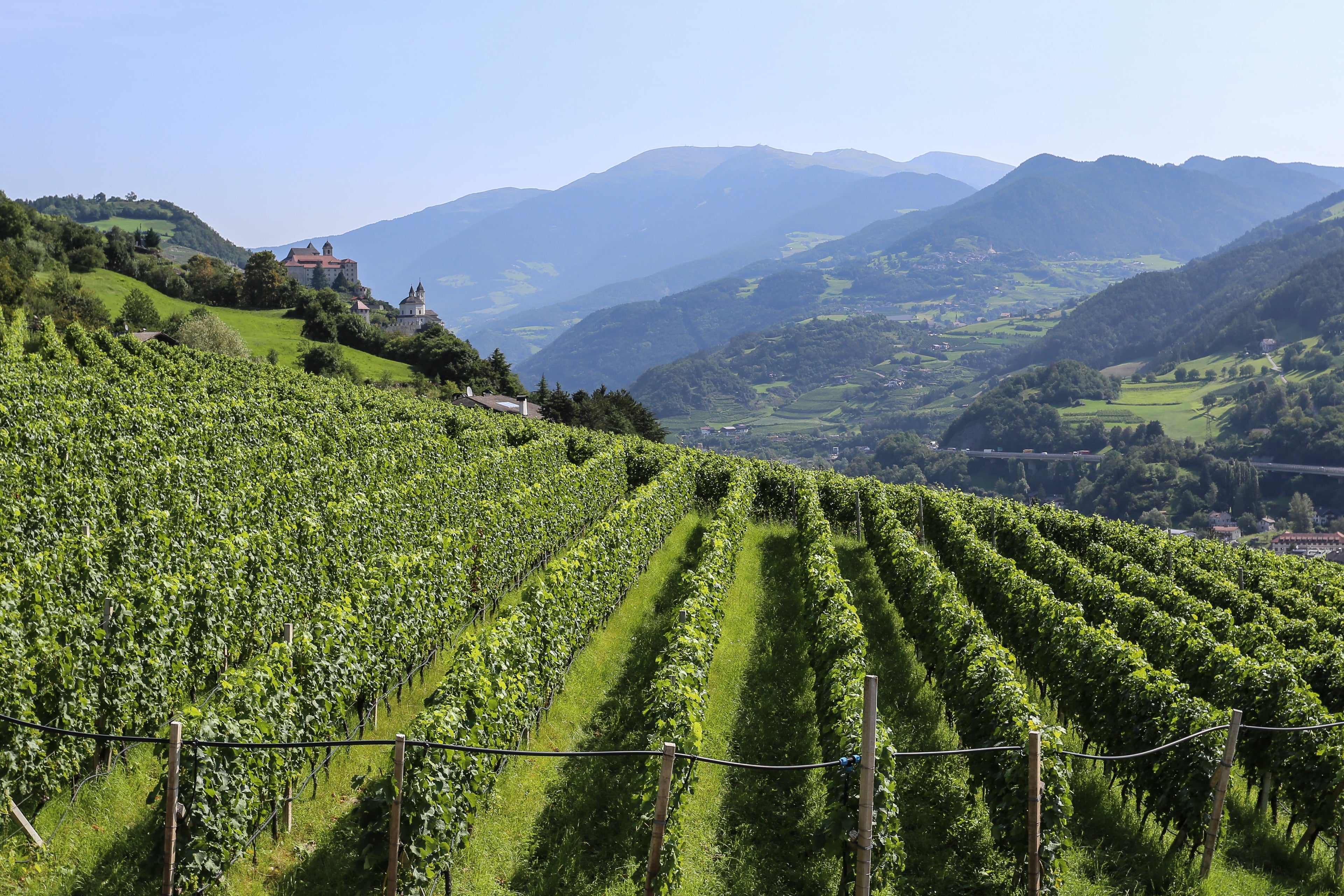 Alto Adige — Vine fra Sydtyrol