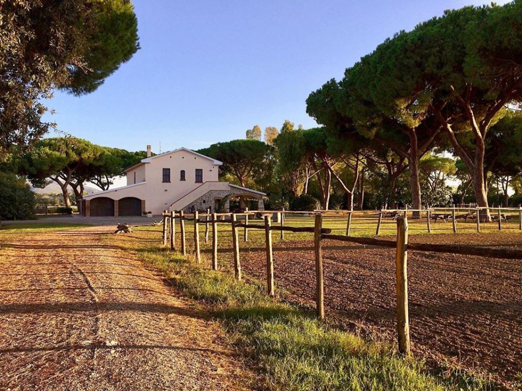 Tenuta San Carlo – ris fra Maremmakystens naturreservat