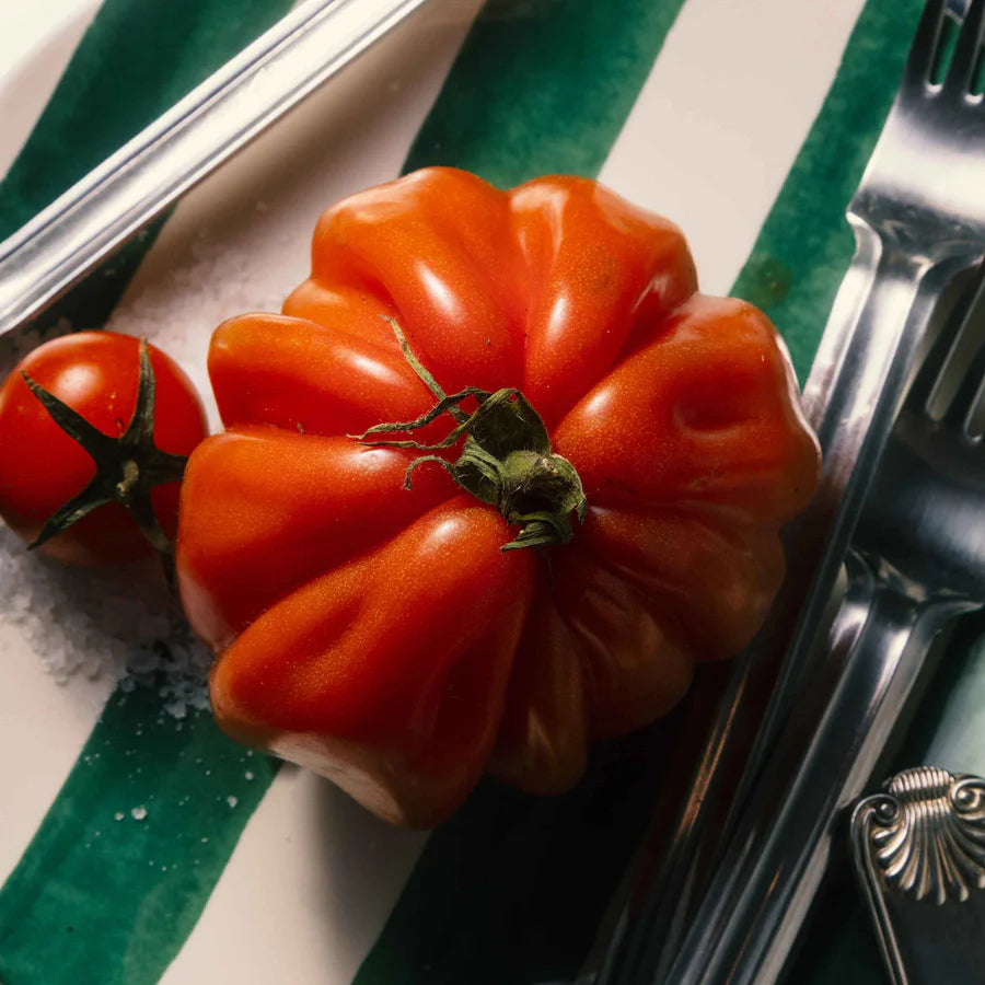 Tomatsauce med basilikum – Sughetto Basilico