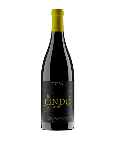 Cantine Iuppa, Lindo, Etna Bianco Superiore DOC 2023 — Carricante, Milo