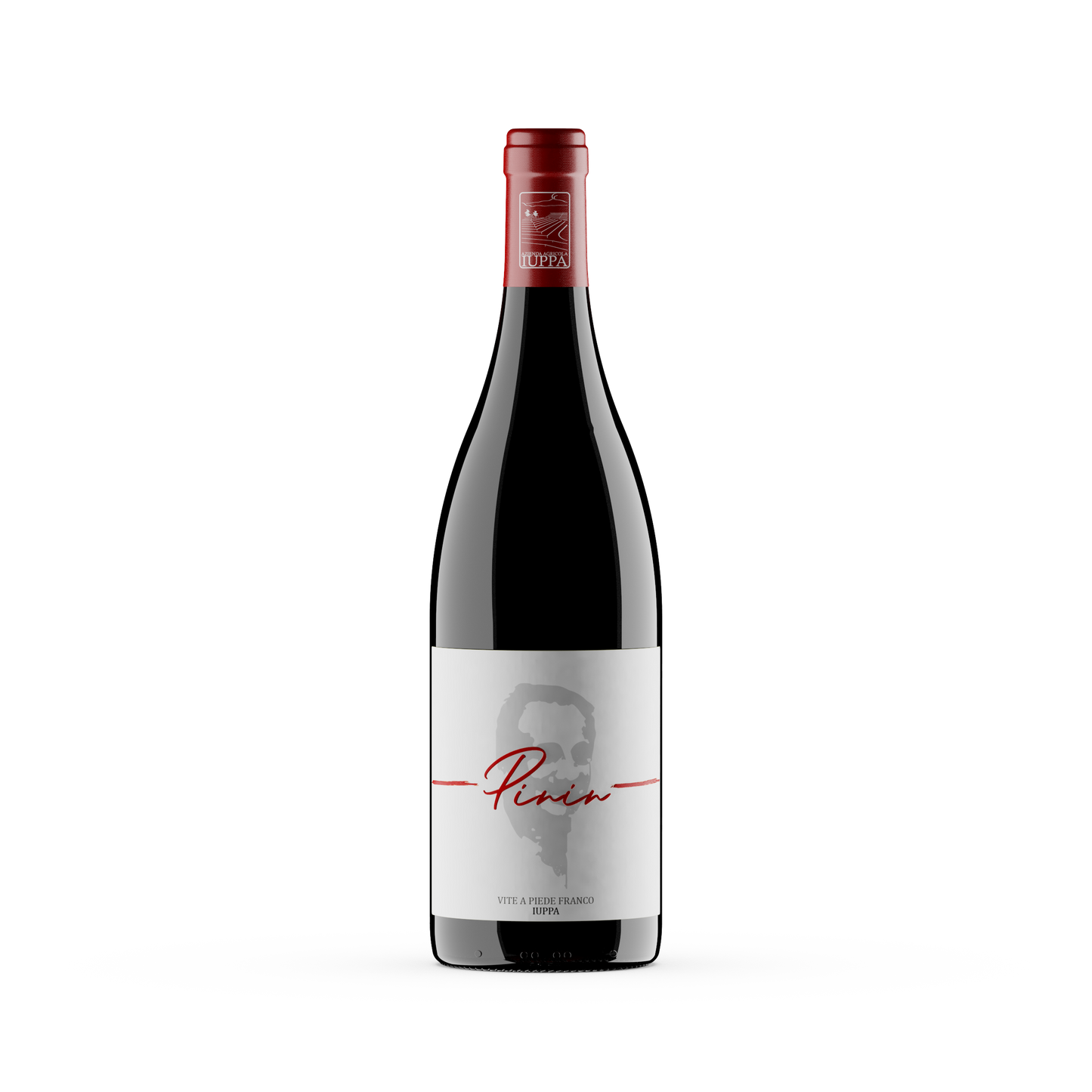 Cantine Iuppa, Pinin, IGT Terre Siciliane 2021 — Nerello Mascalese, Cru, Milo