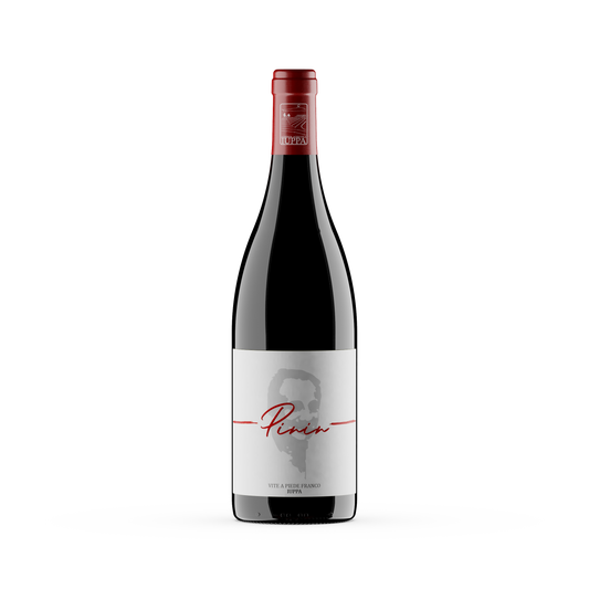 Cantine Iuppa, Pinin, IGT Terre Siciliane 2021 — Nerello Mascalese, Cru, Milo